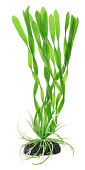 Искусственное растение Vitality Валлиснерия спиральная зелёная, 20 см