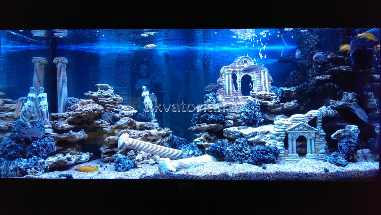 Оформление аквариума Juwel Rio 180