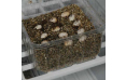 Инкубатор для яиц рептилий Lucky Reptile Egg-O-Bator