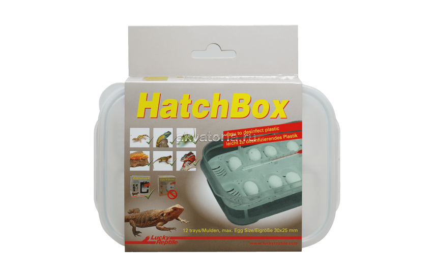 Контейнер для инкубации яиц Lucky Reptile HatchBox, 17×11 см