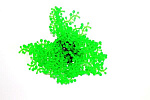 Искусственный коралл Vitality зеленый, M (SH133G)