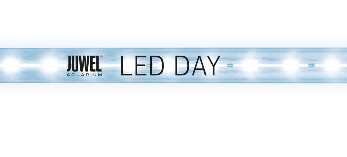 Аквариумная лампа Juwel LED Day 590 мм – купить в магазине аквариумов Акватория