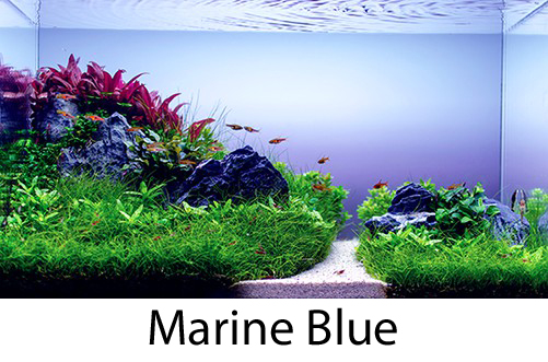 marine-blue