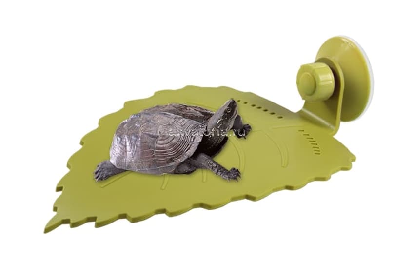 Черепаший берег малый Nomoy Pet Big Leaf
