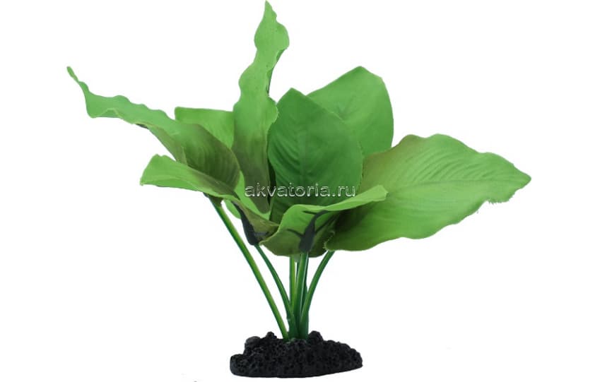 Искусственное шелковое растение Prime Анубиас Бартера, 40 см