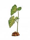 Растение-поилка для террариума с капельной системой малое Hagen Exo Terra Dripper Plant Small