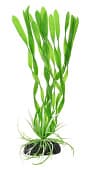 Искусственное растение Vitality Валлиснерия спиральная зелёная, 20 см