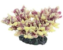 Искусственный коралл Vitality жёлто-фиолетовый (SH080PUY)
