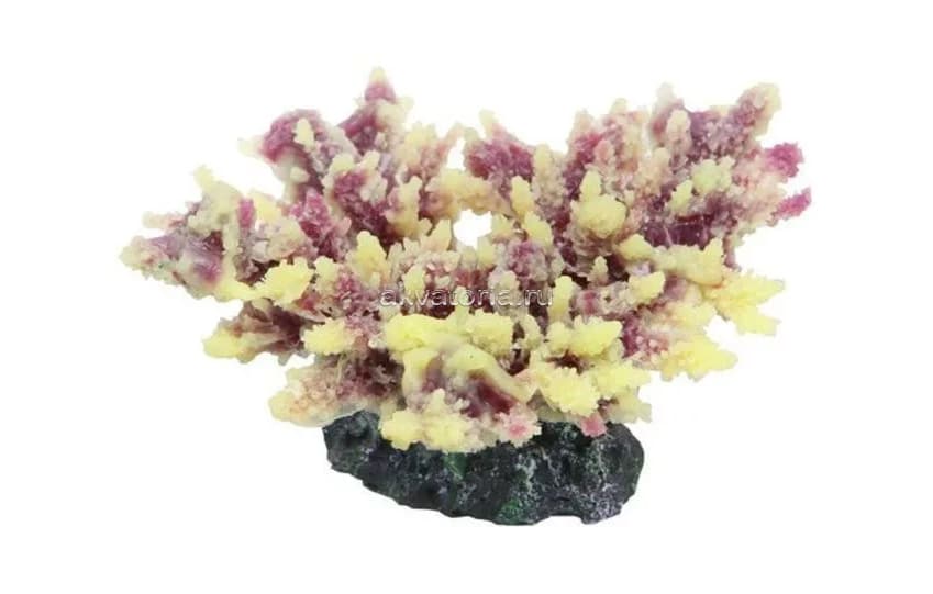 Искусственный коралл Vitality жёлто-фиолетовый (SH080PUY)