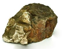 Камень UDeco Fossilized Wood Stone XL "Окаменелое дерево"