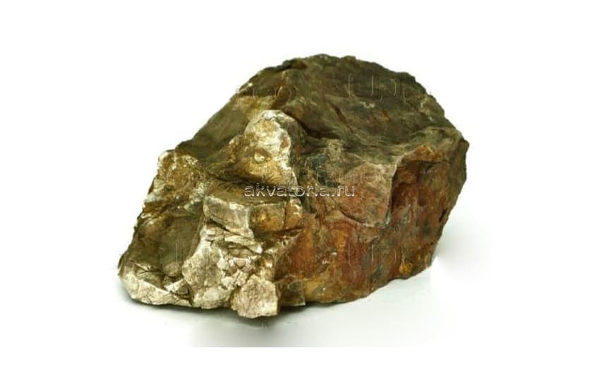 Камень UDeco Fossilized Wood Stone XL 