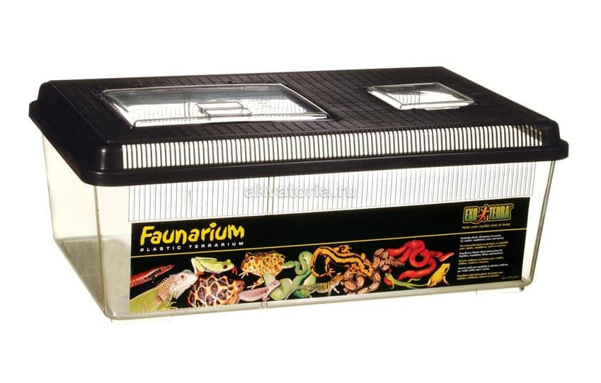 Фаунариум-отсадник плоский пластиковый Hagen ExoTerra Faunarium 46×30×17 см