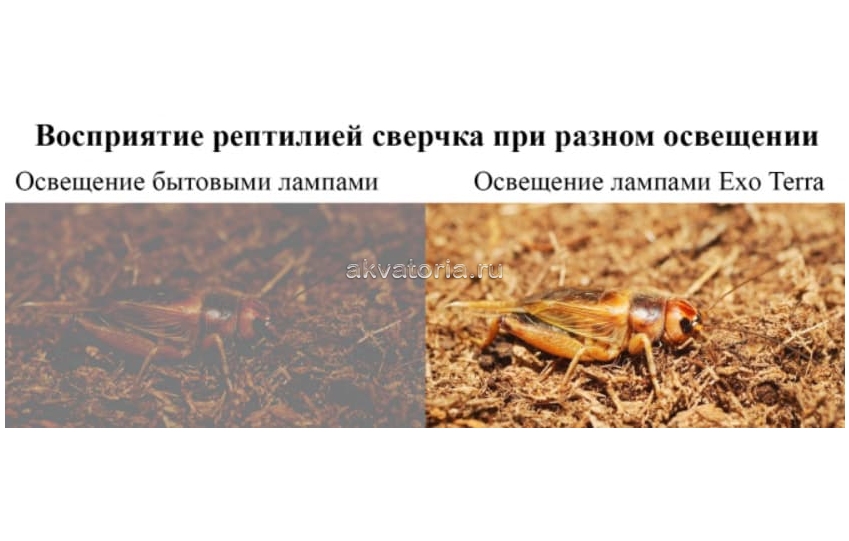 Террариумная лампа Hagen ExoTerra Reptile Vision Compact, 13 Вт