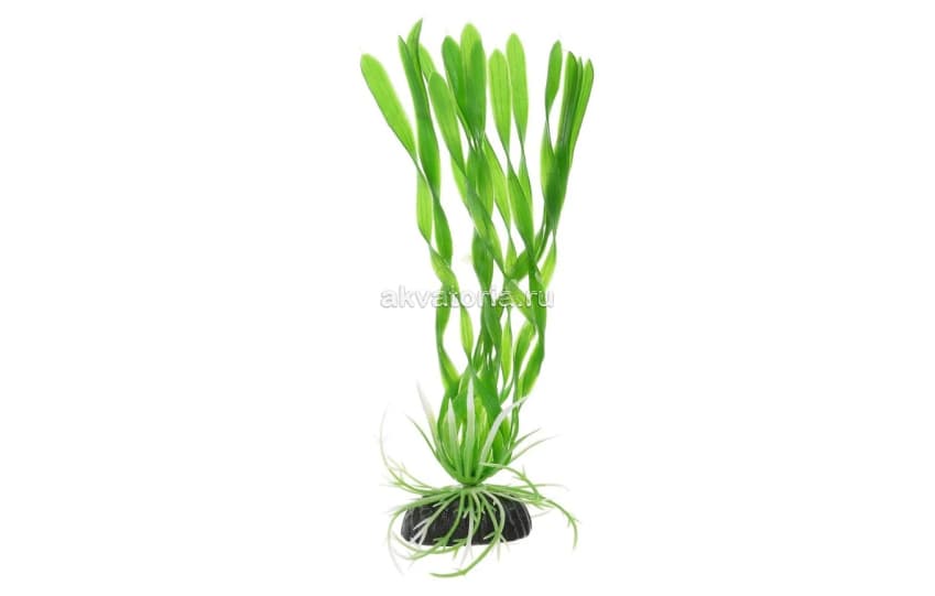 Искусственное растение Vitality Валлиснерия спиральная зелёная, 30 см