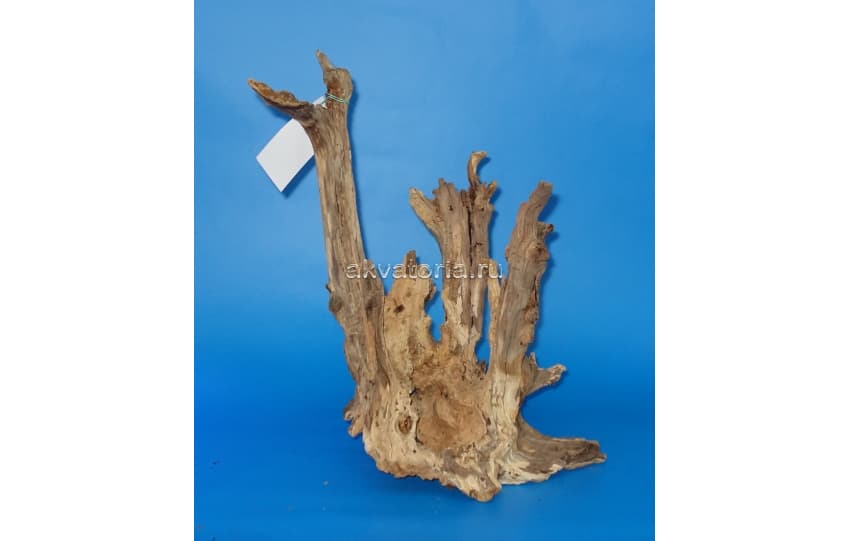 Натуральная коряга  корень дуба, цена за 1 кг