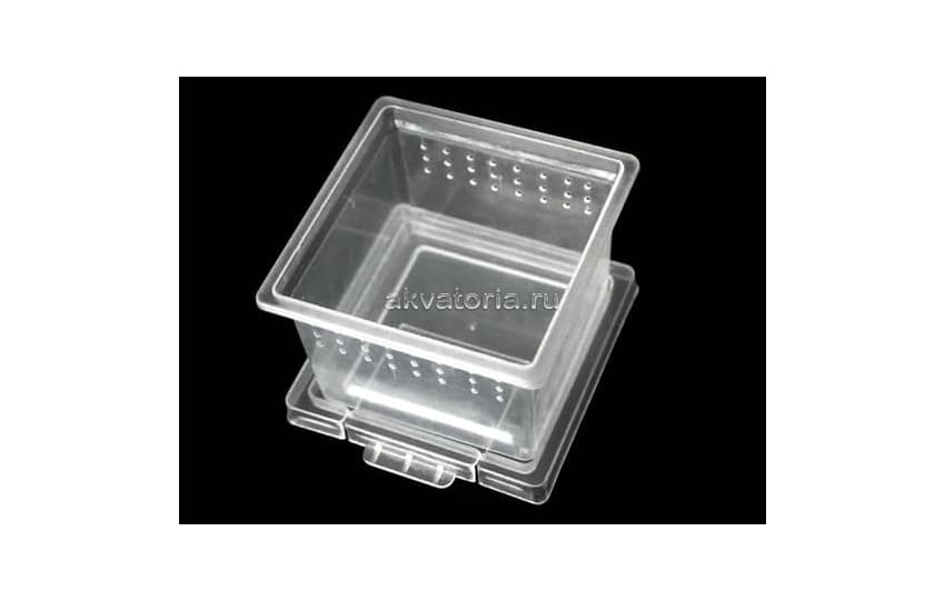 Отсадник Nomoy Pet Square Box H1, 7×7×4,5 см