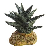 Искусственное растение Gloxy Хавортия