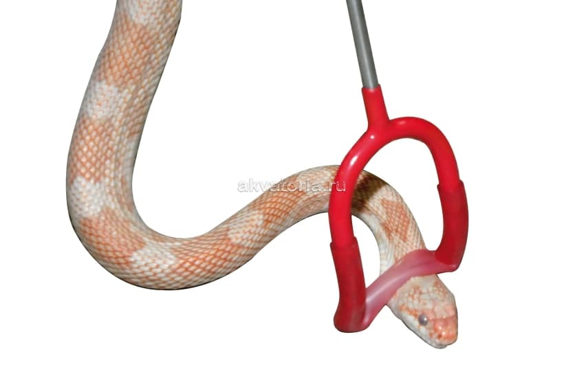 Крюк для обращения со змеями Lucky Reptile Snake Pin Hook, щадящий, 60 см