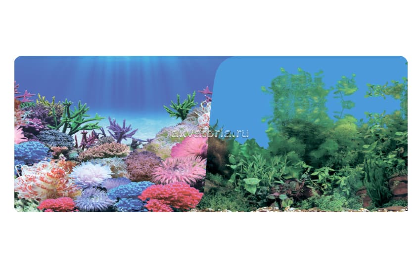 Фон-плёнка Prime 50×100 см, Коралловый рай/Подводный пейзаж