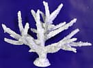 Искусственный коралл Vitality белый, L (SH036MW)