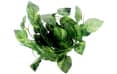 Искусственное растение "Филодендрон" Nomoy Pet, 230 см, 12 шт.