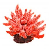 Искусственный коралл Vitality розовый, M (SH059PI)