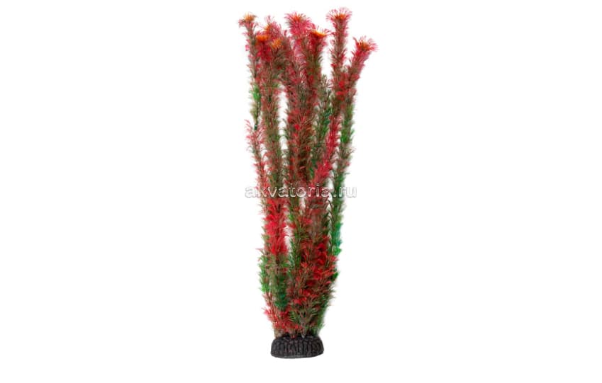 Искусственное растение Laguna Амбулия красная, 50 см