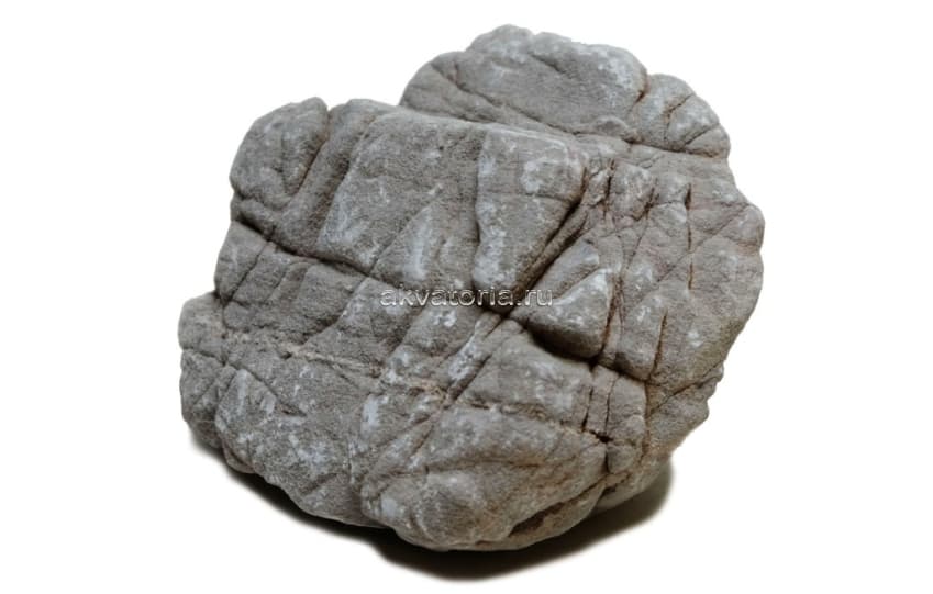 Камень UDeco Elephant Stone M 