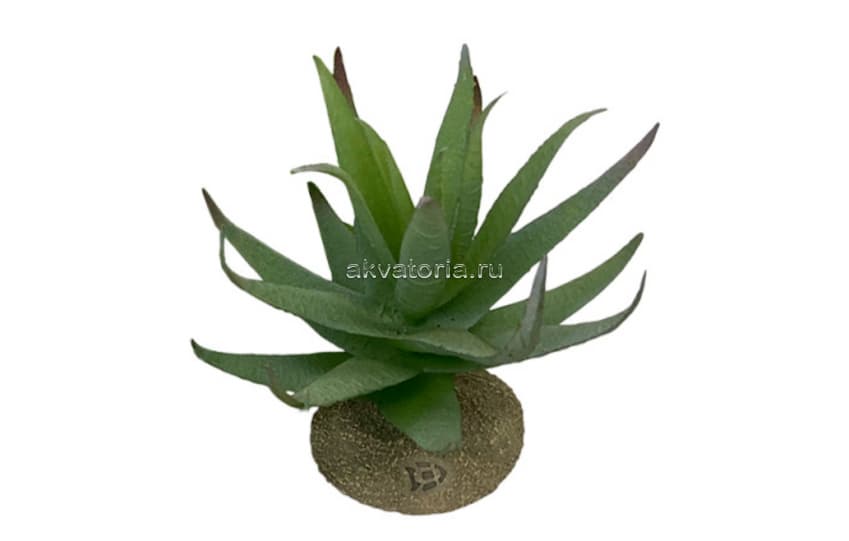 Искусственное растение TERRA DELLA Алоэ, 12×11×11,5 см