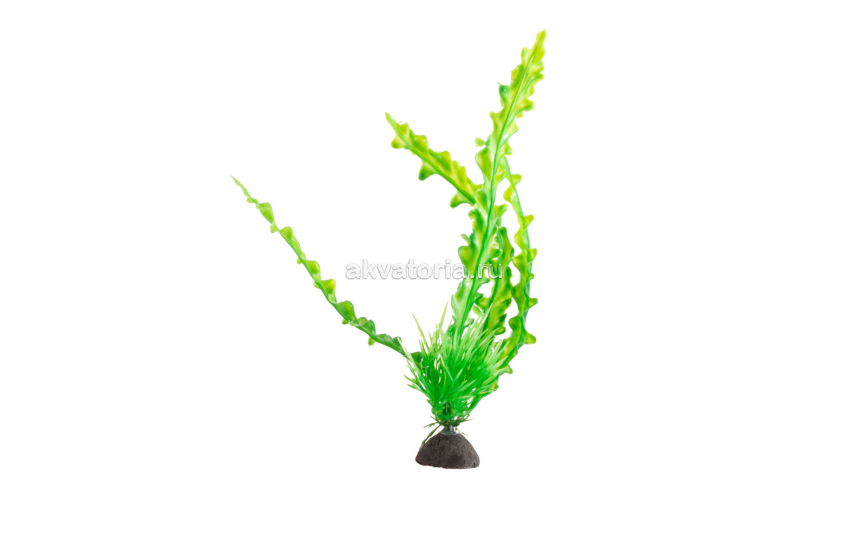 Искусственное растение Naribo Апоногетон, 20 см