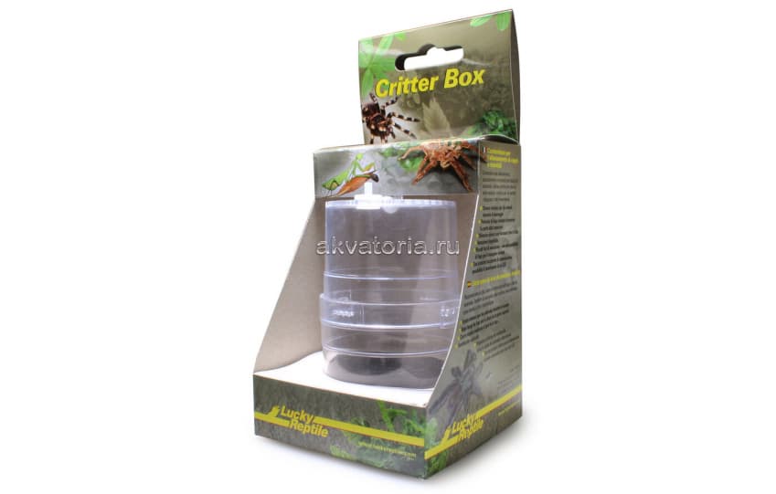 Инсектарий для пауков Lucky Reptile Critter Box, 6×11 см