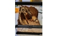 Субстрат глиняный ZooMed Excavator, 9 кг