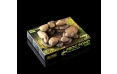 Лягушачий пруд EXO TERRA Frog Pond, 15×12,5×5,5 см