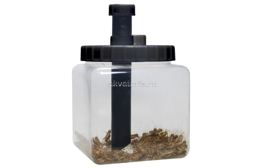 Контейнер для живого корма Lucky Reptile Cricket Keeper, 13,5×13,5×20 см