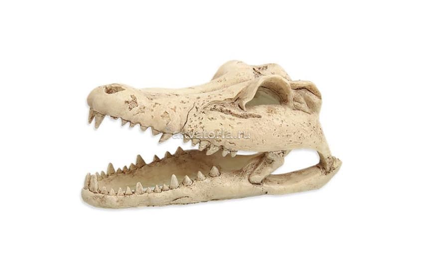 Декорация "Череп крокодила" Repti Planet Dekorace Krokodyl Lebka, 13,8×6,8×6,5 см