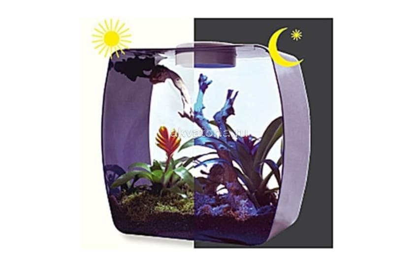 Инсектарий-аквариум Lucky Reptile Life Box,35×20×35 см, фиолетовый