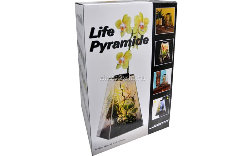 Флорариум-инсектариум в пирамиде Lucky Reptile Life Pyramide, 30×30×45 см, свет белый