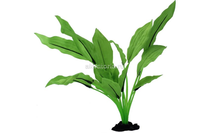 Искусственное шелковое растение Prime Эхинодорус Селовианус, 13 см