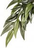 Искусственное растение Hagen ExoTerra EX Jungle Plants Рускус (PT3041), 55×25 см