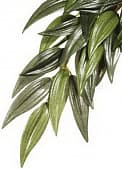 Искусственное растение Hagen ExoTerra EX Jungle Plants Рускус (PT3041), 55×25 см