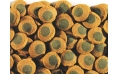 Корм Tetra Pleco Spirulina Wafers, таблетки, 250 мл