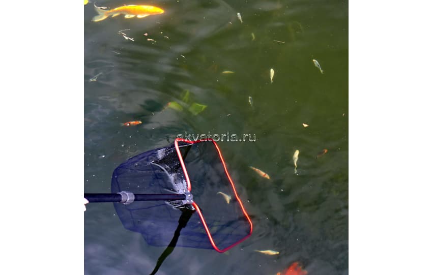 Сачок с телескопической ручкой JBL pond fish net M fine, 160 см