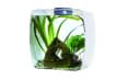 Инсектарий-аквариум Lucky Reptile Life Box,35×20×35 см, белый