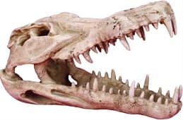Аквариумная декорация PRIME «Череп крокодила» 25×11,5×15,2 см