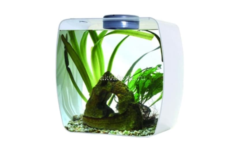 Инсектарий-аквариум Lucky Reptile Life Box,35×20×35 см, белый