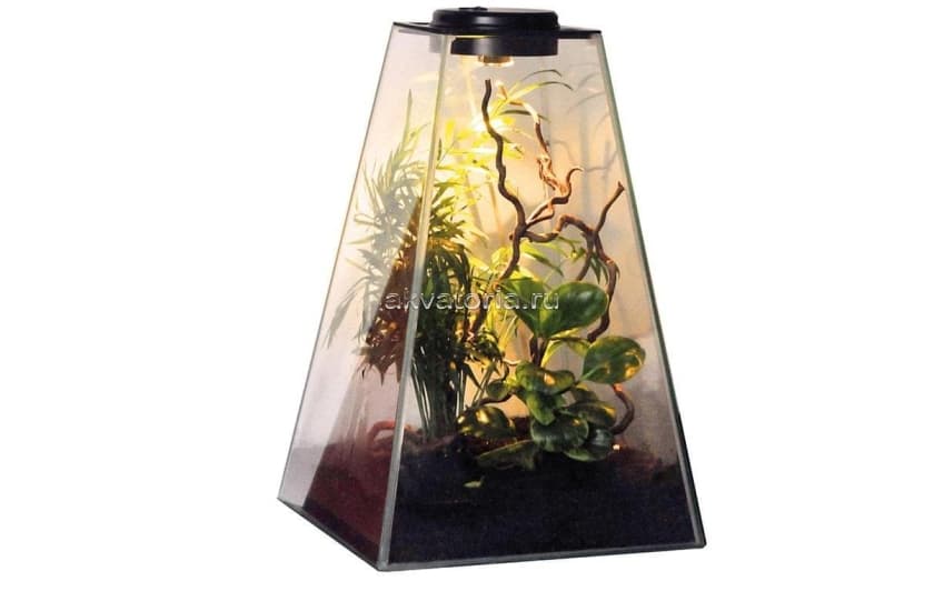 Флорариум-инсектариум в пирамиде Lucky Reptile Life Pyramide, 30×30×45 см, свет белый