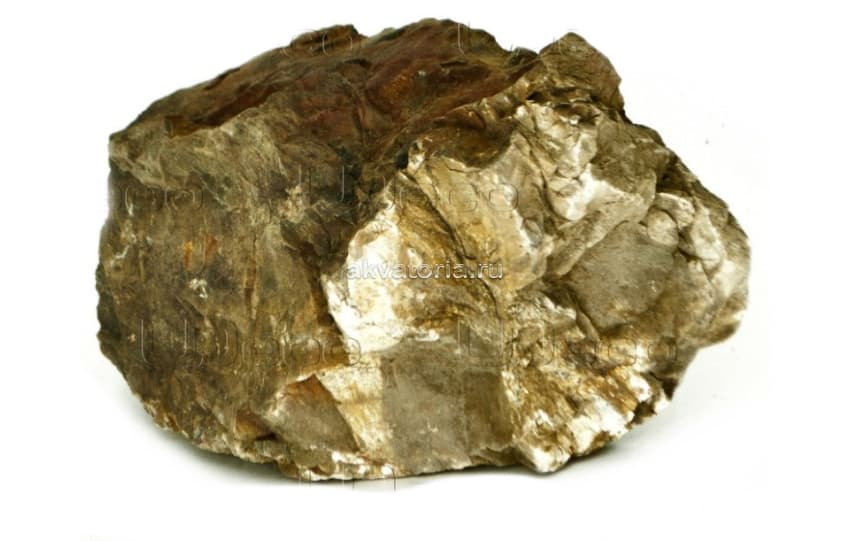 Камень UDeco Fossilized Wood Stone L 