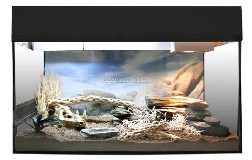 Стартовый комплект для эублефаров Lucky Reptile Starter Kit Leopardgecco, 80×40×52 см, чёрный