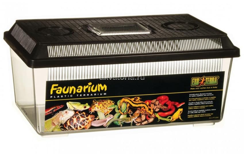 Фаунариум-отсадник плоский пластиковый Hagen ExoTerra Faunarium 36×21×16 см