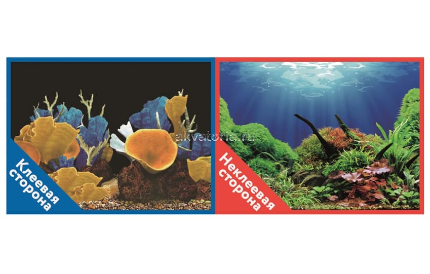 Фон-пленка Prime 100х50 см, Морские кораллы/Подводный мир